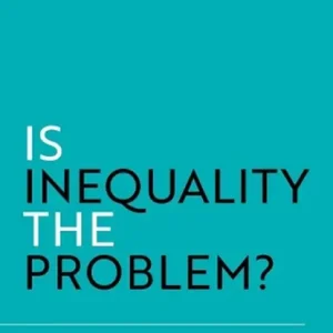 Weekendaanbieding Is Inequality the Problem?
