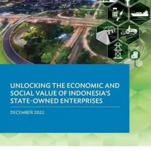Unlocking the Economic and Social Value of Indonesia's State-Owned Enterprises Meest Verkocht